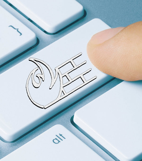 Schwenk IT - Pädagogisches Netz